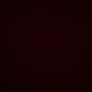 Meet your Posher, Skylar